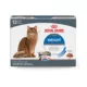 Product Royal Canin® Feline Care Nutrition Weight Care Adult Cat Wet Food, 12-ct