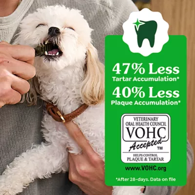Product Greenies™ Adult Regular Dog Dental Treats - Natural, Oral Health, Original