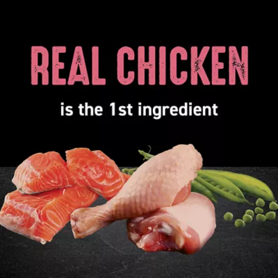 Product Crave™ High Protein Indoor Adult Dry Cat Food - Grain Free, Chicken & Salmon