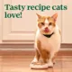 Product Nutro Perfect Portions Cuts in Gravy Adult Wet Cat Food - Non-GMO, Grain Free, Variety Pack, 12 Ct
