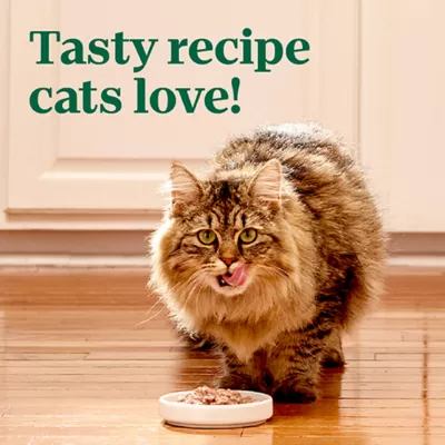 Product Nutro Perfect Portions Cuts in Gravy Adult Wet Cat Food - Non-GMO, Grain Free, 2.64 oz