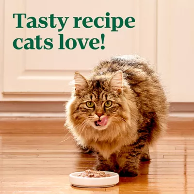 Product Nutro Perfect Portions Cuts in Gravy Adult Wet Cat Food -Non-GMO, Grain Free, Variety Pack, 12 Count