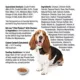 Product Bil-Jac® Pate Platters Adult Wet Dog Food - Grain Free, Chicken & Vegetables, 13 oz