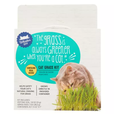 Product Whisker City® Cat Grass Kit
