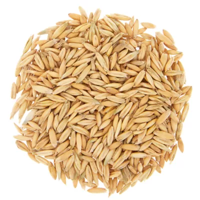Product Whisker City® Cat Grass Kit
