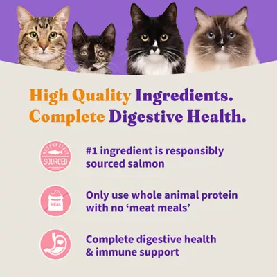 Product Halo Holistic Grain Free, Kitten Dry Food - Salmon & Whitefish Recipe, 6 lb