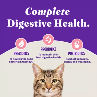 Product Halo Holistic Grain Free, Kitten Dry Food - Salmon & Whitefish Recipe, 6 lb