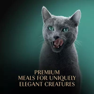 Product Sheba® Perfect Portions Adult Wet Cat Food - Cuts in Gravy, Variety Pack, 24 CT, 63.4 OZ