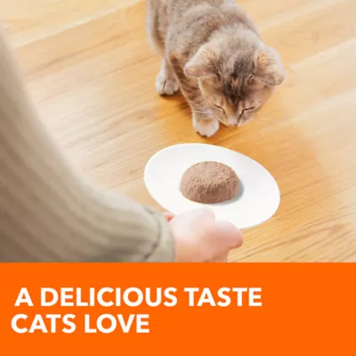 Product Iams Perfect Portions Healthy Kitten Wet Cat Food Grain Free Chicken Paté