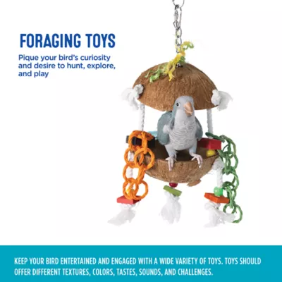 Product All Living Things® Coconut Hut Bird Toy