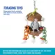 Product All Living Things® Coconut Hut Bird Toy