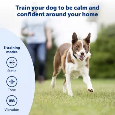 Product PetSafe® Yard Remote Training Collar - Tone/Vibration/15 Levels of Static