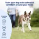 Product PetSafe® Yard Remote Training Collar - Tone/Vibration/15 Levels of Static