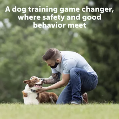 Product PetSafe® Yard Remote Training Collar - Tone/Vibration/15 Levels of Static
