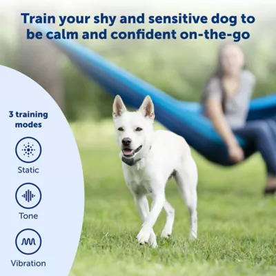 Product PetSafe® 300 Yard Remote Training Collar - er Version - Tone/Vibration/15 Levels of Static