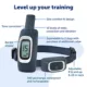 Product PetSafe® 300 Yard Remote Training Collar - er Version - Tone/Vibration/15 Levels of Static