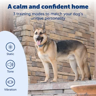 Product PetSafe® SMART DOG Training Collar - Tone/Vibration/15 Levels of Static - Bluetooth Wireless