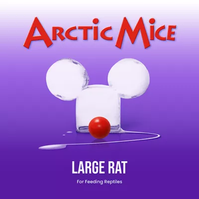 Product Arctic Mice Frozen Large Rats