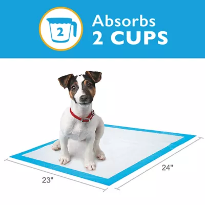 Product Great Choice® Dog Pads - 23"L x 24"W