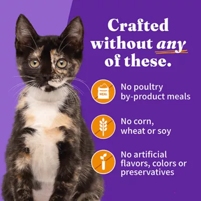 Product Halo Grain Free Pate, Kitten Wet Food - Chicken Recipe, 3 oz