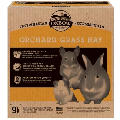 Product Oxbow Orchard Grass