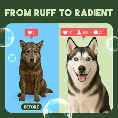 Product TropiClean® Lime & Cocoa Butter DeShedding Dog Conditioner