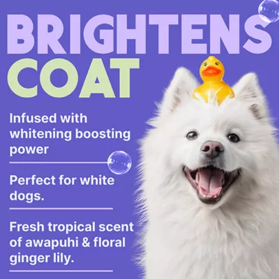 Product TropiClean® Awapuhi & Coconut Whitening Dog Shampoo