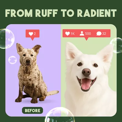 Product TropiClean® Awapuhi & Coconut Whitening Dog Shampoo