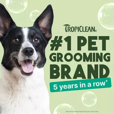 Product TropiClean® Medicated Oatmeal & Tea Tree Dog Shampoo