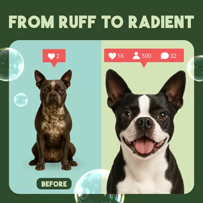 Product TropiClean® Medicated Oatmeal & Tea Tree Dog Shampoo