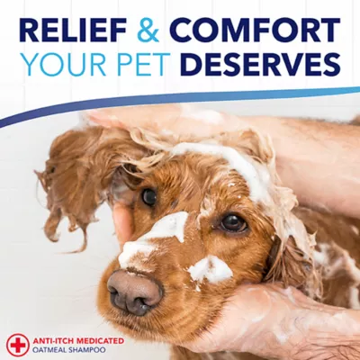 Product TropiClean® Oxy-Med® Medicated Oatmeal Dog Shampoo