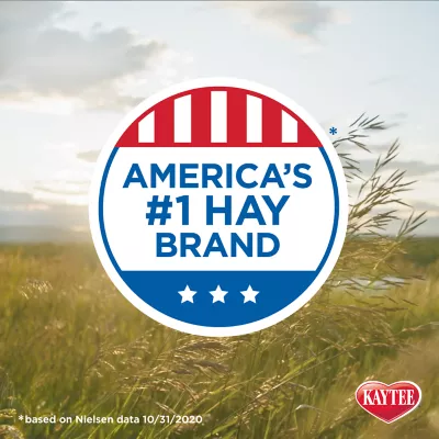 Product KAYTEE® Wafer Cut Timothy Hay