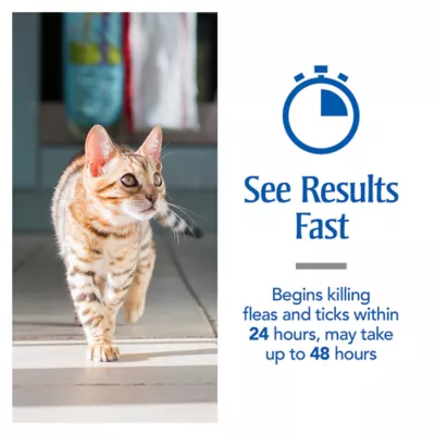 Product PetArmor® Plus for Cats Over 1.5 lbs Flea & Tick Spot On Treatment