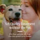 Product PetArmor® Flea & Tick Collar for Dogs - 2 Count