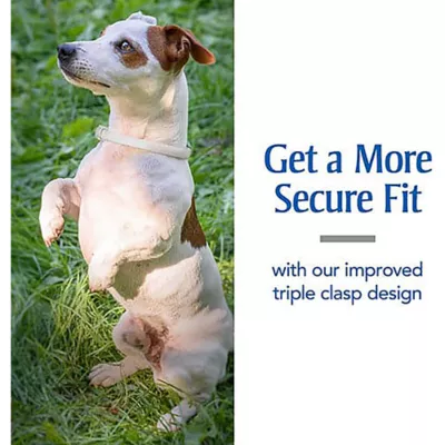 Product PetArmor® Flea & Tick Collar for Dogs - 2 Count
