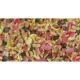 Product Sera® Royal Pond Mix Food