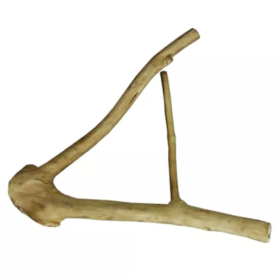 Product A&E Cage Company Java Wood Branch