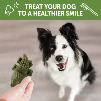 Product WHIMZEES Alligator Dental Dog Treat - Natural, 1 Count