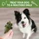 Product WHIMZEES Alligator Dental Dog Treat - Natural, 1 Count