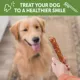 Product WHIMZEES Veggie Sausage Dog Dental Treat - Natural, 1 Count