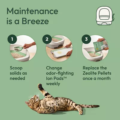 Product Purina Tidy Cats Breeze Hooded Cat Litter Box System Starter Kit - Litter Box, Pellets & Pads
