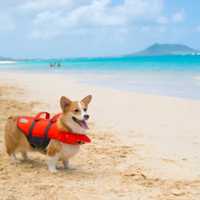 Product Outward Hound® Ripstop Dog Life Jacket