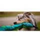 Product Outward Hound® Durablez Snake Dog Toy - Squeaker
