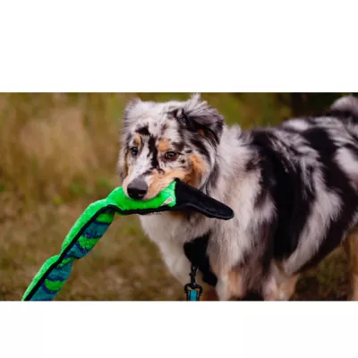 Product Outward Hound® Durablez Snake Dog Toy - Squeaker