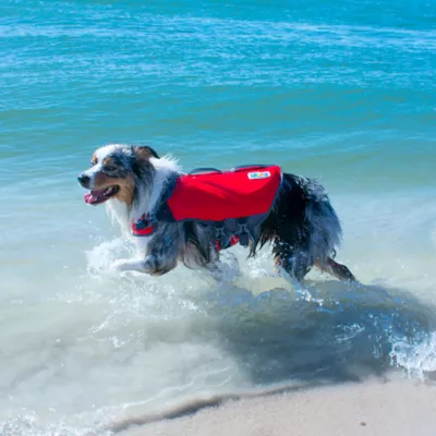 Product Outward Hound® Dawson Swim Dog Life Jacket
