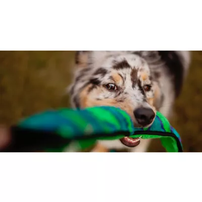 Product Outward Hound® Durablez Snake Dog Toy - Squeaker