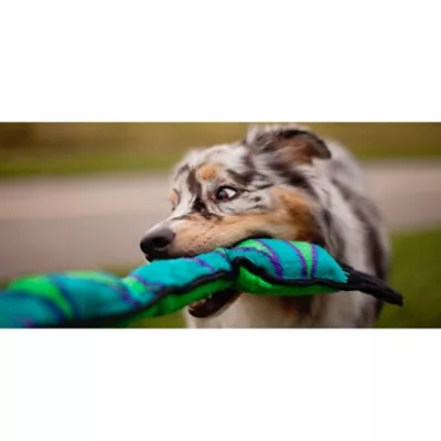 Product Outward Hound® Durablez Snake Dog Toy - Squeaker