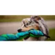 Product Outward Hound® Durablez Snake Dog Toy - Squeaker