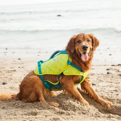 Outward Hound® Stanley Sport Dog Life jacket