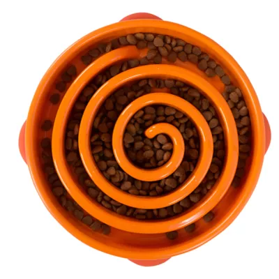 Product Outward Hound Fun Slow Feeder Bowls